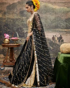 Surmayi Lehenga Set