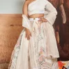 Surocco & Ivory Peak Skein Sheer Lehenga Set