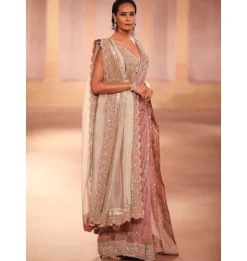 Suryani Organza Sari Set