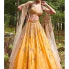 Suzy Organza Lehenga Set