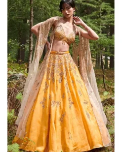 Suzy Organza Lehenga Set