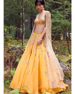 Suzy Organza Lehenga Set