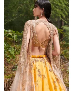 Suzy Organza Lehenga Set
