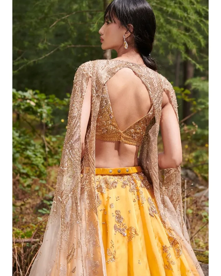 Suzy Organza Lehenga Set