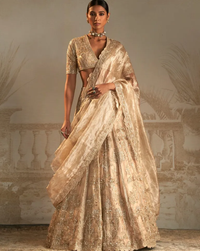 Swarn Lehenga Set