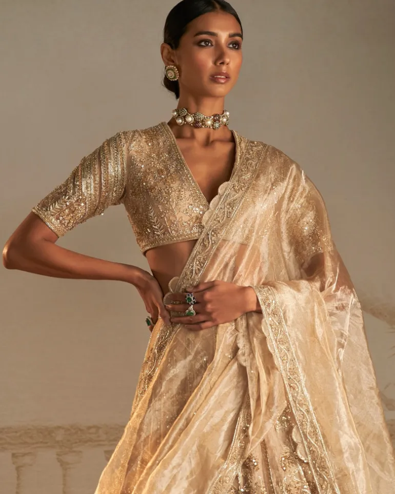 Swarn Lehenga Set