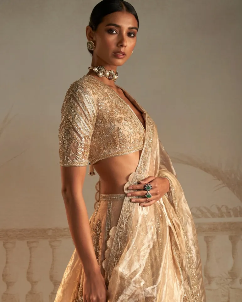 Swarn Lehenga Set