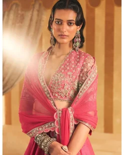 Tabeer Lehenga Set