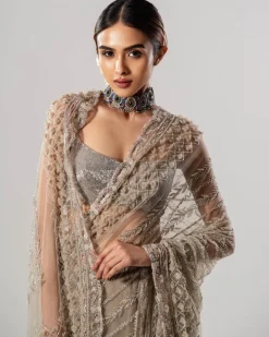 Tan Tulle Sari With 3D Petal Aanchal And Beaded Blouse