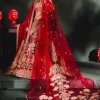 The Anar Bagh Lehenga Set