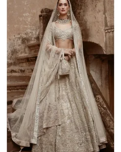 The Aurum Udaibagh Lehenga Set