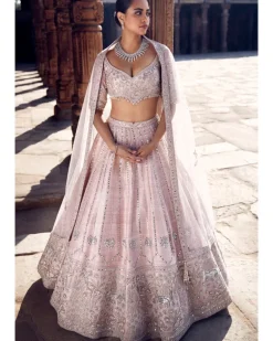 The Blush Tulip Sheesha Gota Lehenga