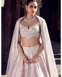 The Blush Tulip Sheesha Gota Lehenga