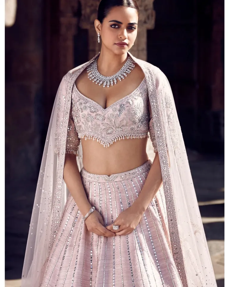 The Blush Tulip Sheesha Gota Lehenga