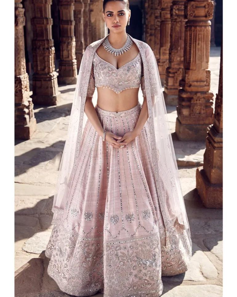 The Blush Tulip Sheesha Gota Lehenga