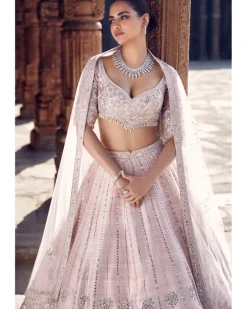 The Blush Tulip Sheesha Gota Lehenga
