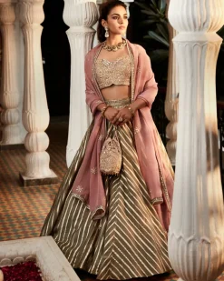 The Earthen Rose Lehenga Woven Set