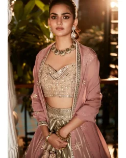 The Earthen Rose Lehenga Woven Set
