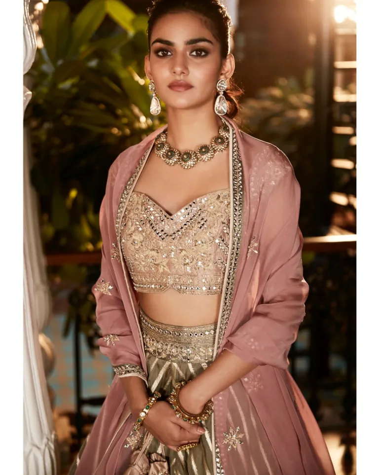 The Earthen Rose Lehenga Woven Set