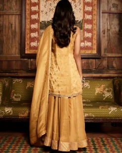 The Haldi Tissue Paaro Sharara