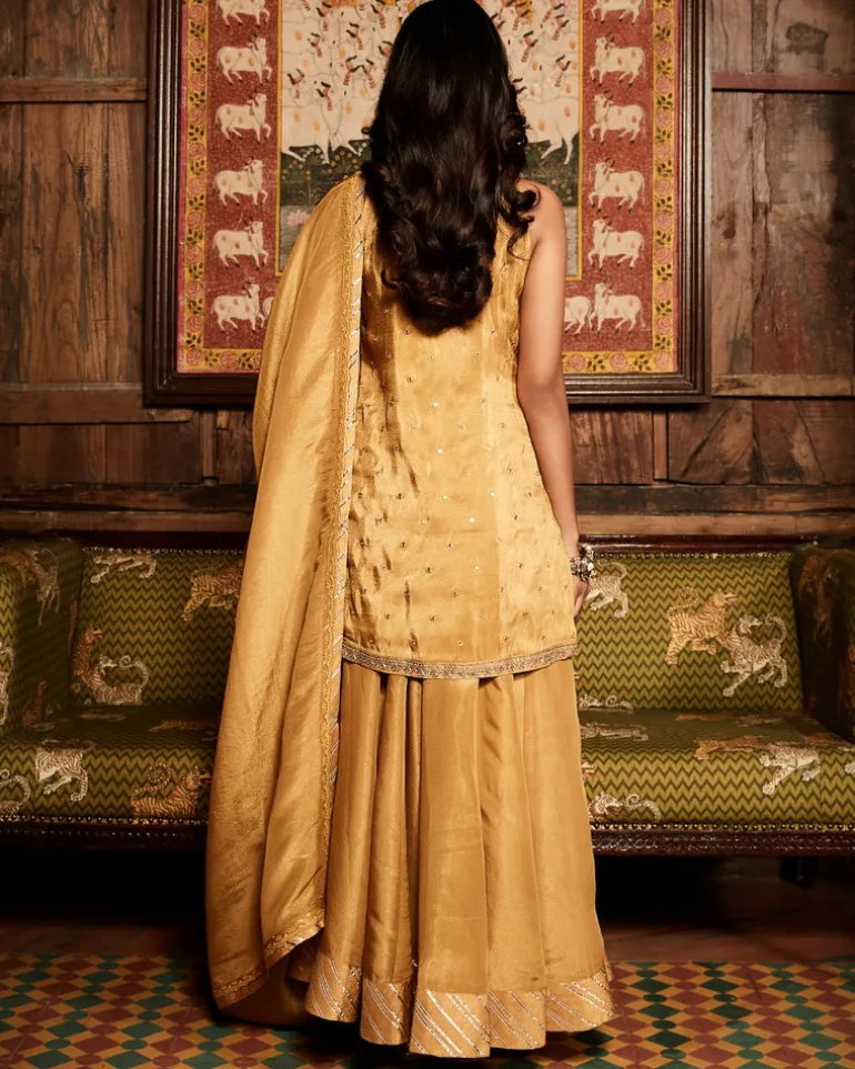 The Haldi Tissue Paaro Sharara