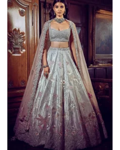 The Ice Blue Flamingo Landscape Lehenga Set