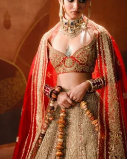 The Khubani Ka Meetha Lehenga