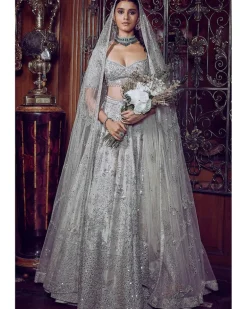 The Matsya Starlight Ponds Of Wonder Lehenga Set