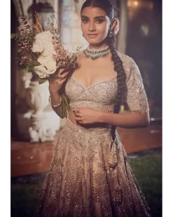 The Matsya Starlight Ponds Of Wonder Lehenga Set