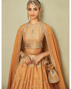 The Millennial Lehenga Set