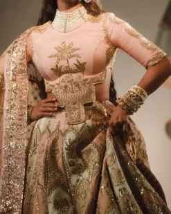 The Rabri Lehenga Set