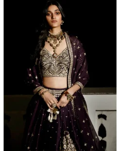 The Royal Matsya Midnight Plum Lehenga