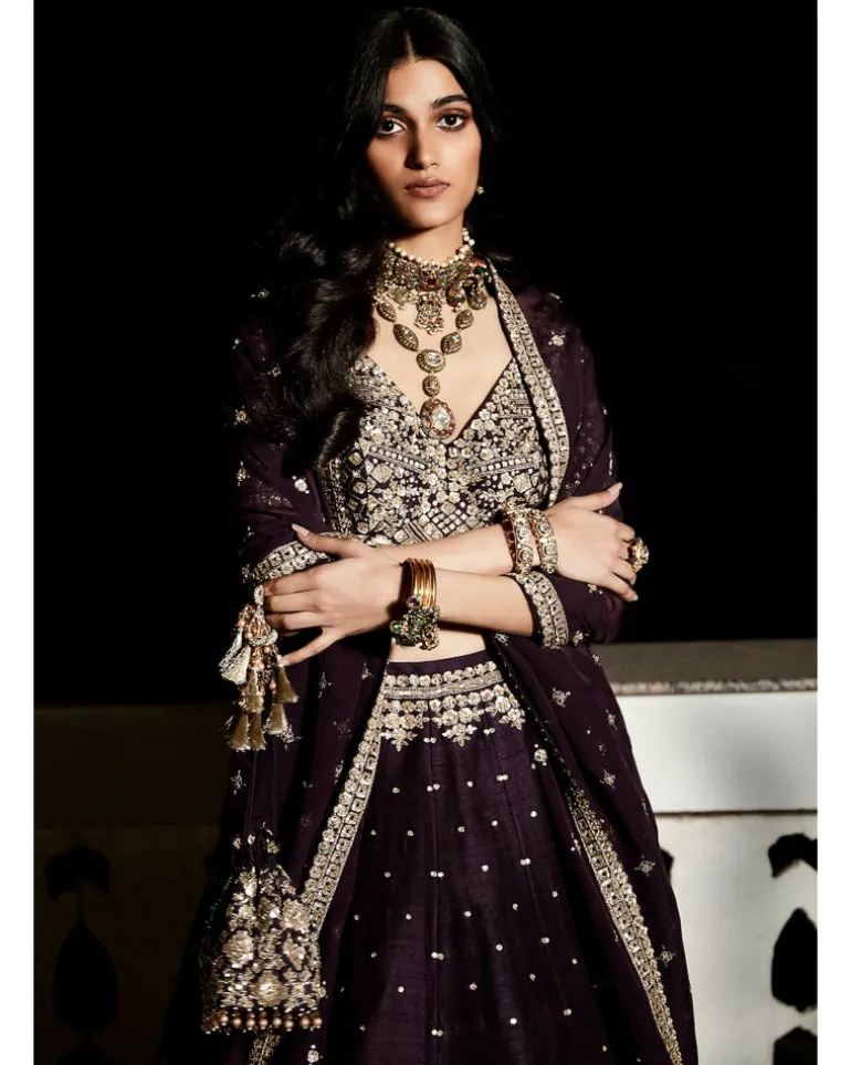 The Royal Matsya Midnight Plum Lehenga