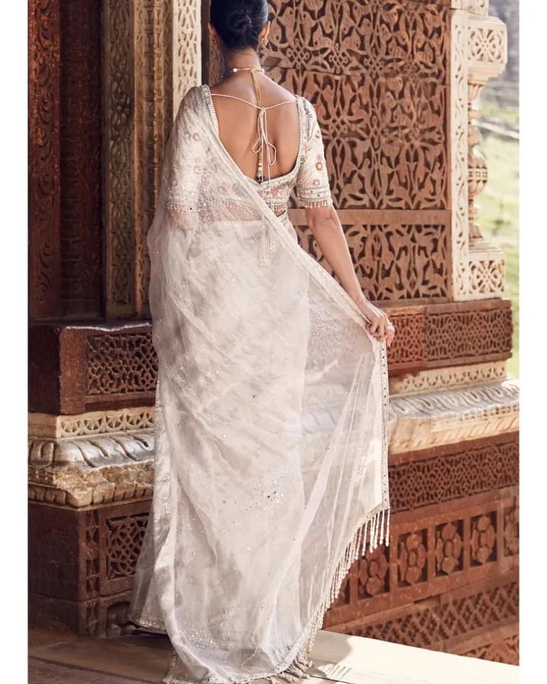 The Royal Nandi Tissue Sari