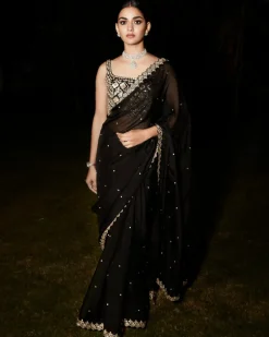 The Royal Noir Sari