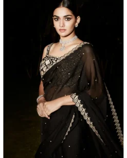 The Royal Noir Sari