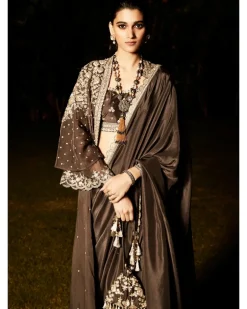 The Royal Parisian Sari