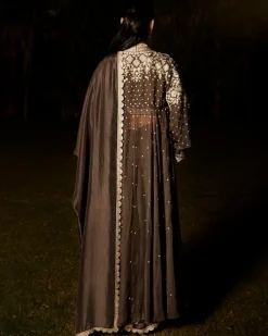 The Royal Parisian Sari