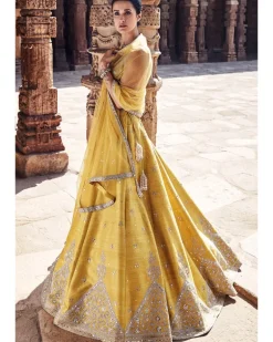 The Royal Pyramid Turmeric Lehenga Set