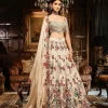 The Royal Satire Ekru Lehenga Set
