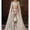 The Silver Needle Winged Glory Lehenga Set
