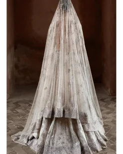 The Silver Needle Winged Glory Lehenga Set