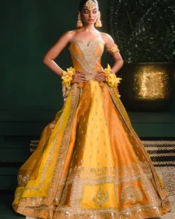 The Son Patissa Lehenga