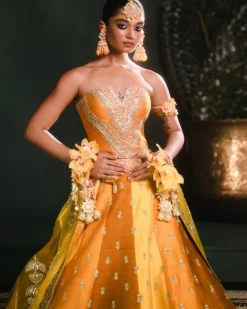 The Son Patissa Lehenga