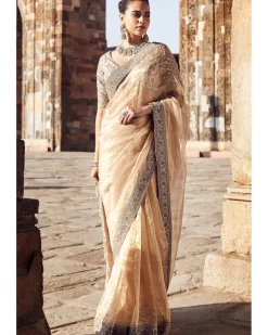 The Sona Kora Gold Tissue Sari