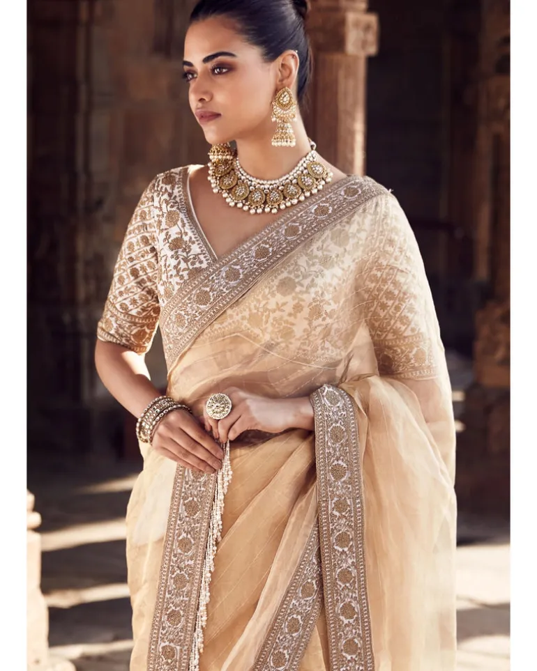 The Sona Kora Gold Tissue Sari
