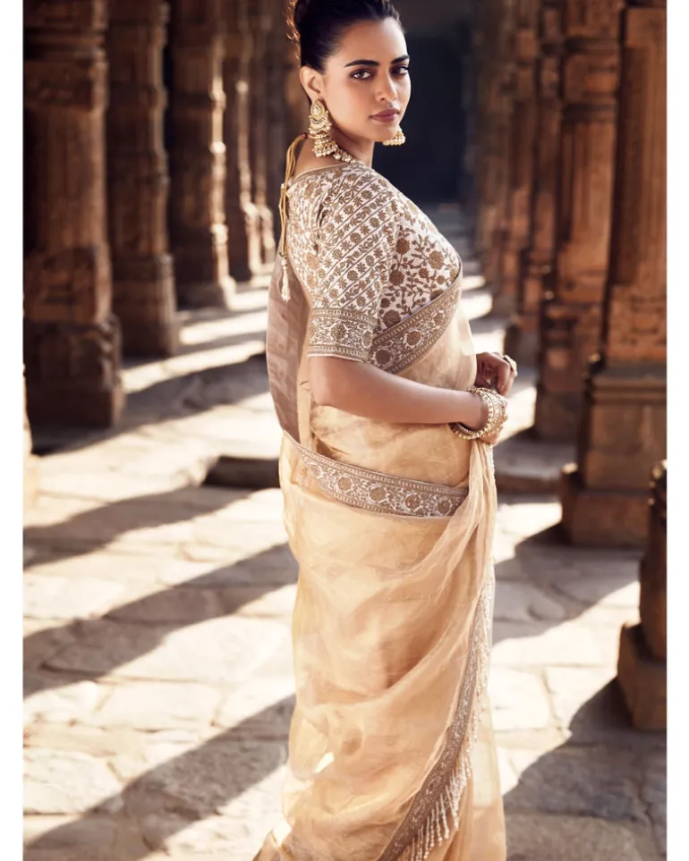 The Sona Kora Gold Tissue Sari