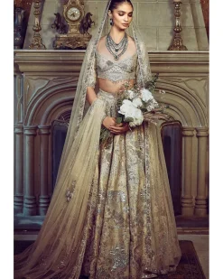 The Wild Ocean Ekru Lehenga Set