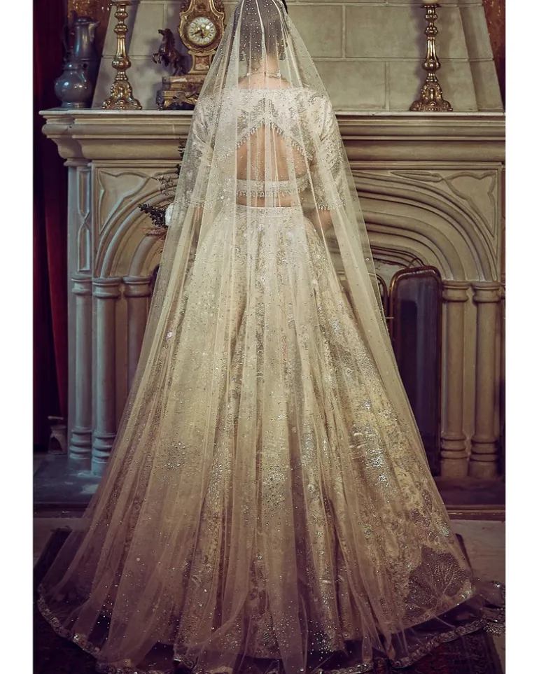 The Wild Ocean Ekru Lehenga Set