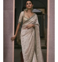 Tissue Sari With Gota and Cutdana Work